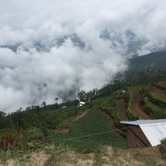 Sidhuwa Nepal